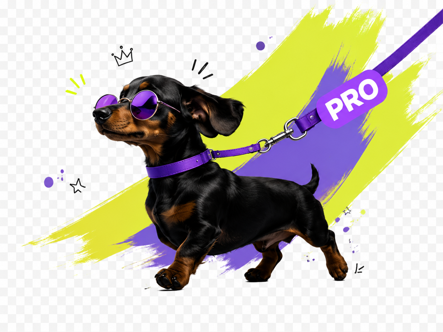 Такса на поводке для тарифа Поводок PRO